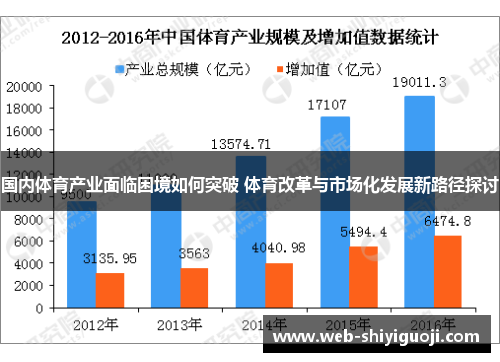 国内体育产业面临困境如何突破 体育改革与市场化发展新路径探讨