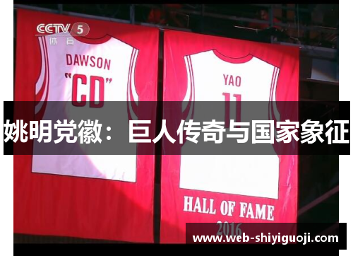 姚明党徽:巨人传奇与国家象征 姚明党徽:巨人传奇与国家象征